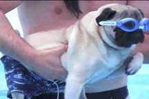 gif verano