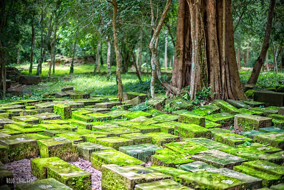 cambodia angkor wat