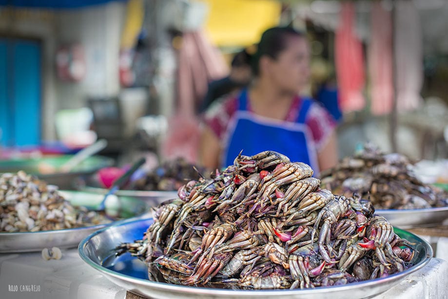 que visitar en bangkok