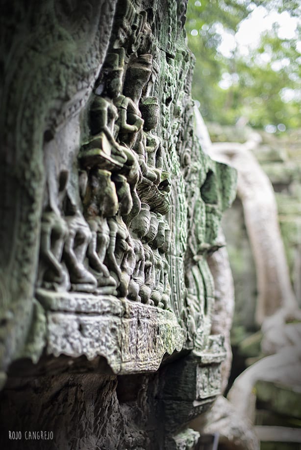 ankor wat