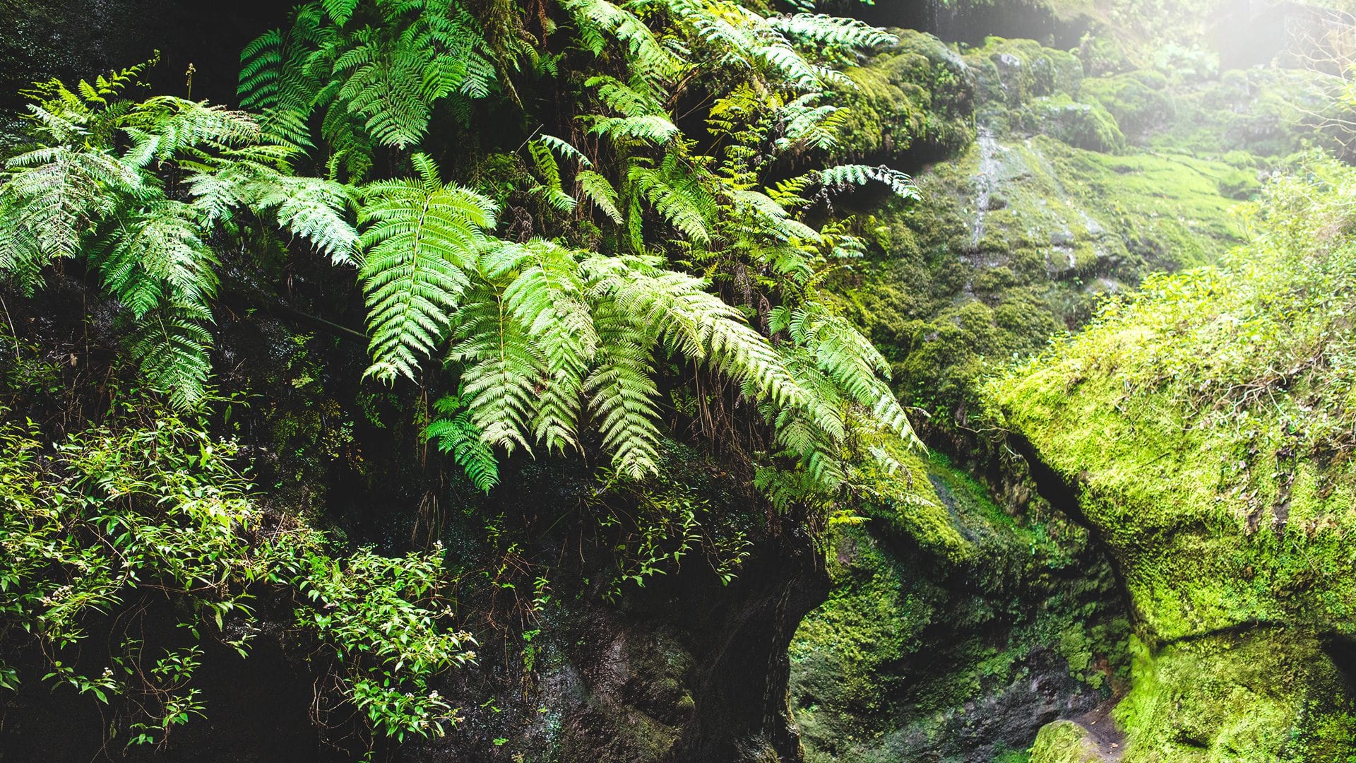 Qué ver en La Palma | Rojo Cangrejo Blog de Viajes