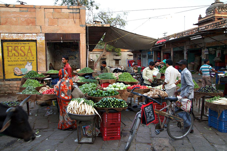 Jodhpur qué ver