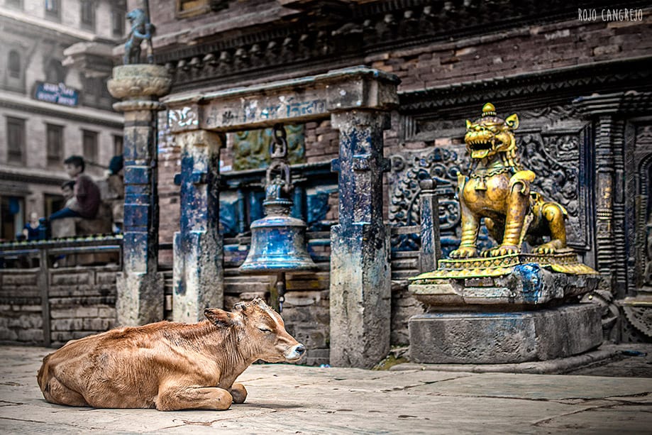 Qué visitar en Bhaktapur