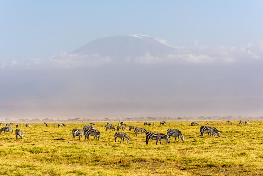 que ver en tanzania