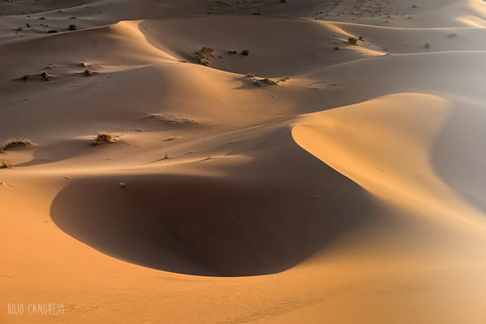 Desierto | Rojo Cangrejo