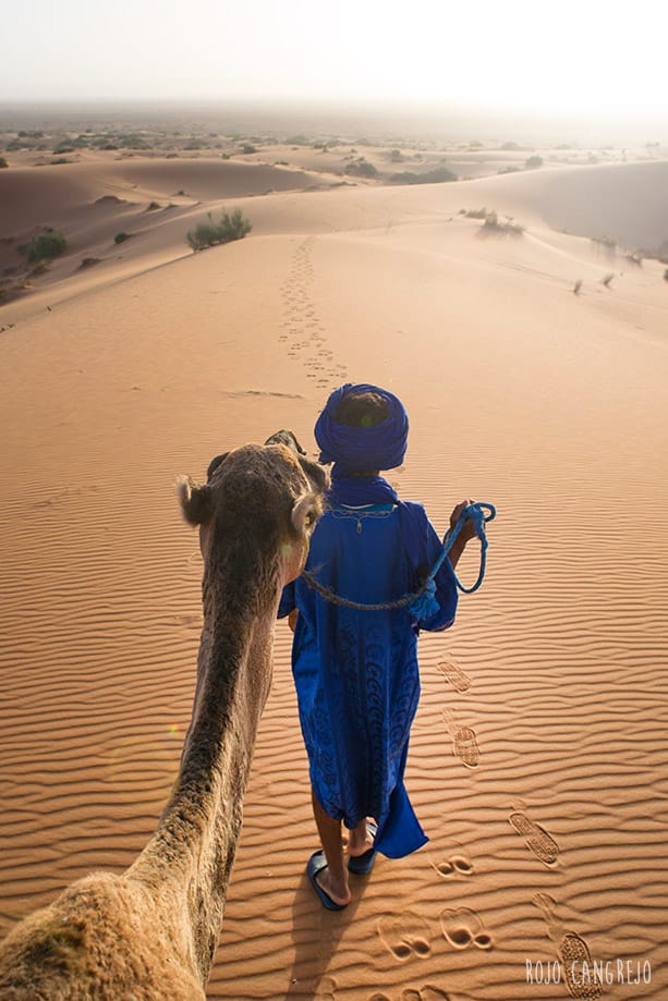 Quienes_son_los_bereberes desierto del Néguev