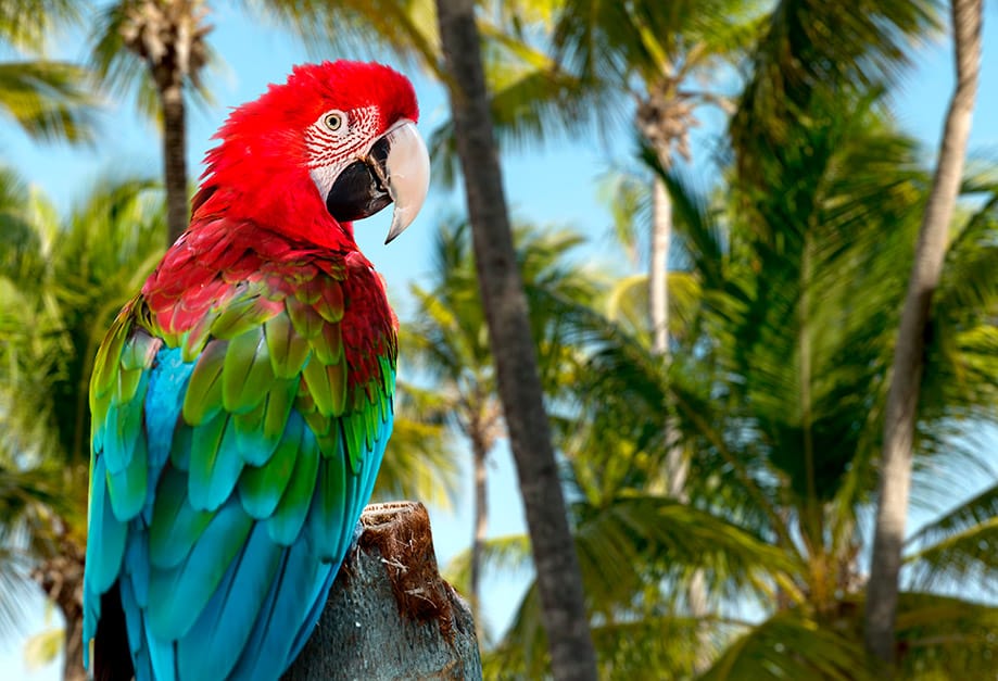 por qué visitar República Dominicana