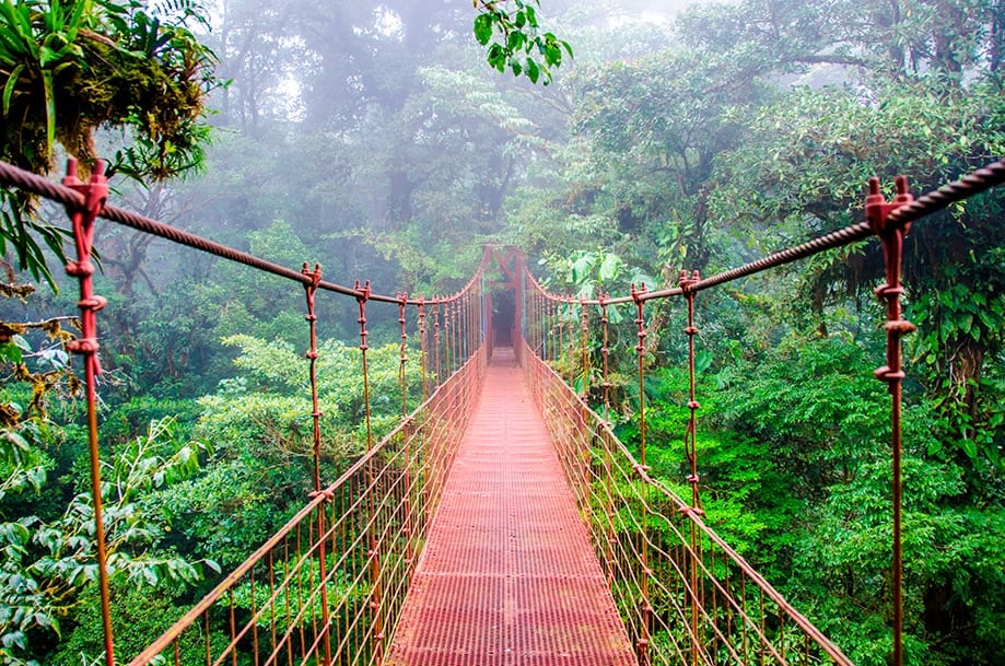 puente colgante en Costa Rica