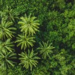 Qué hacer en Costa Rica | Rojo Cangrejo Blog de Viajes