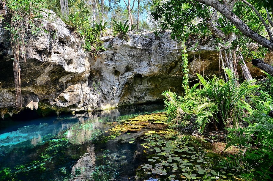 Gran cenote Riviera Maya