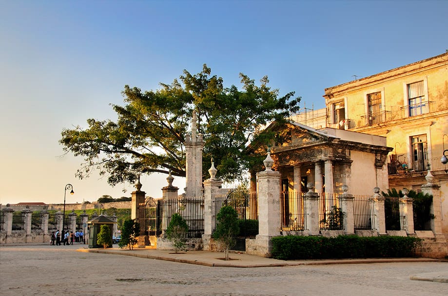 Ceiba de la plaza de Armas