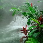 Tabacón aguas termales Costa Rica