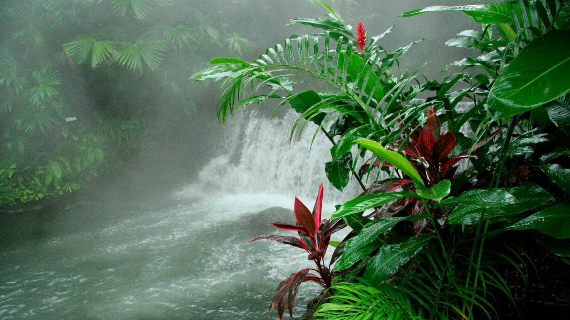 Tabacón aguas termales Costa Rica