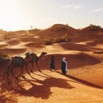 Desierto Neguev Israel | Rojo Cangrejo Blog de Viajes