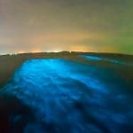 Laguna Luminosa en Jamaica