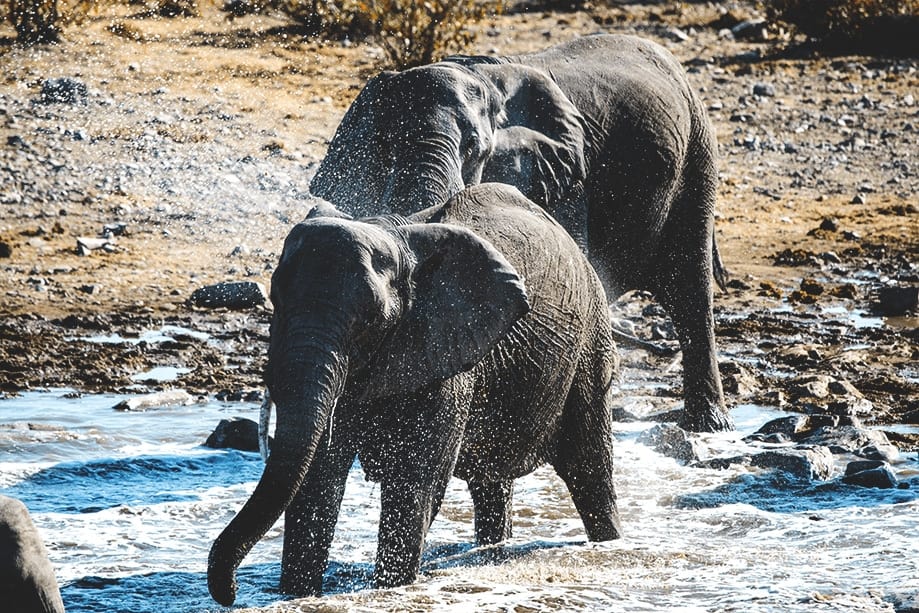 namibia cómo llegar | Rojo Cangrejo Blog de Viajes