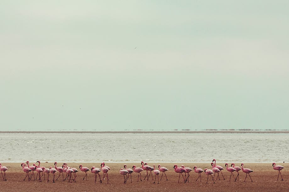 namibia cuando ir | Rojo Cangrejo Blog de Viajes