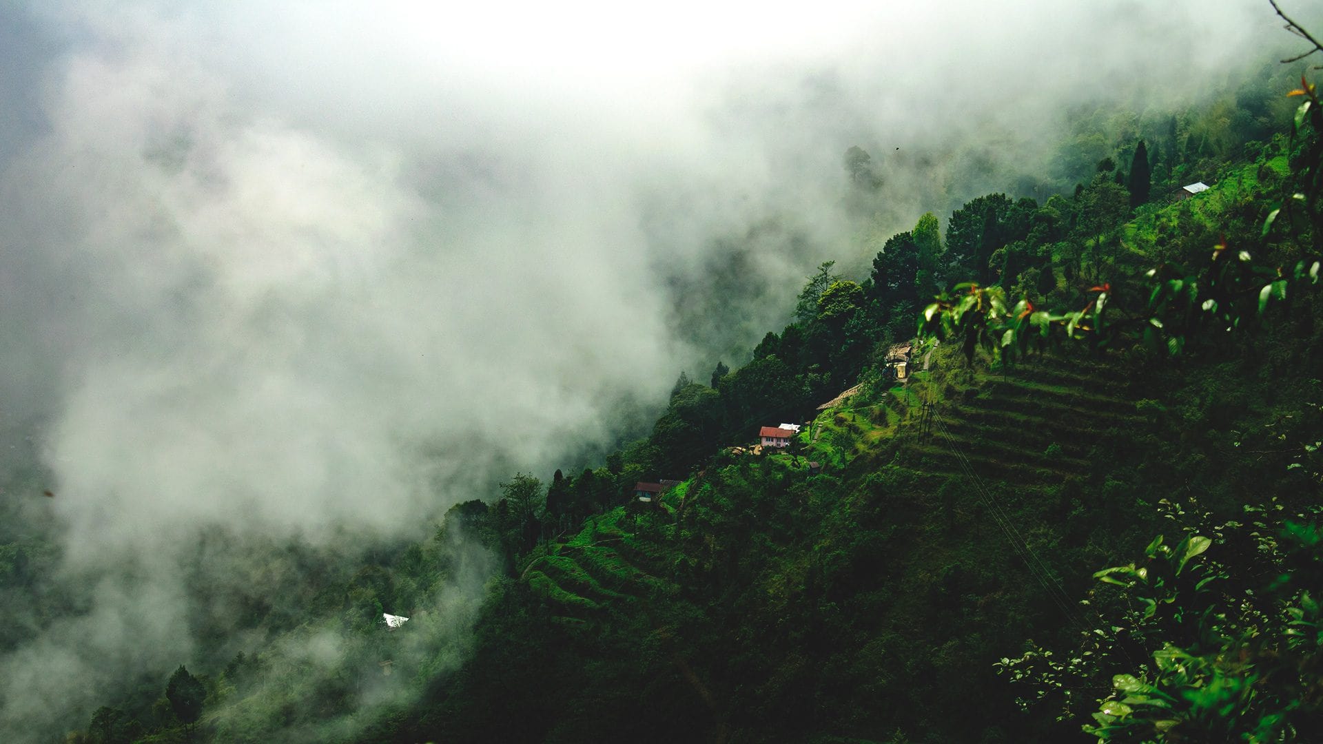 Qué ver en Darjeeling | Rojo Cangrejo Blog de Viajes