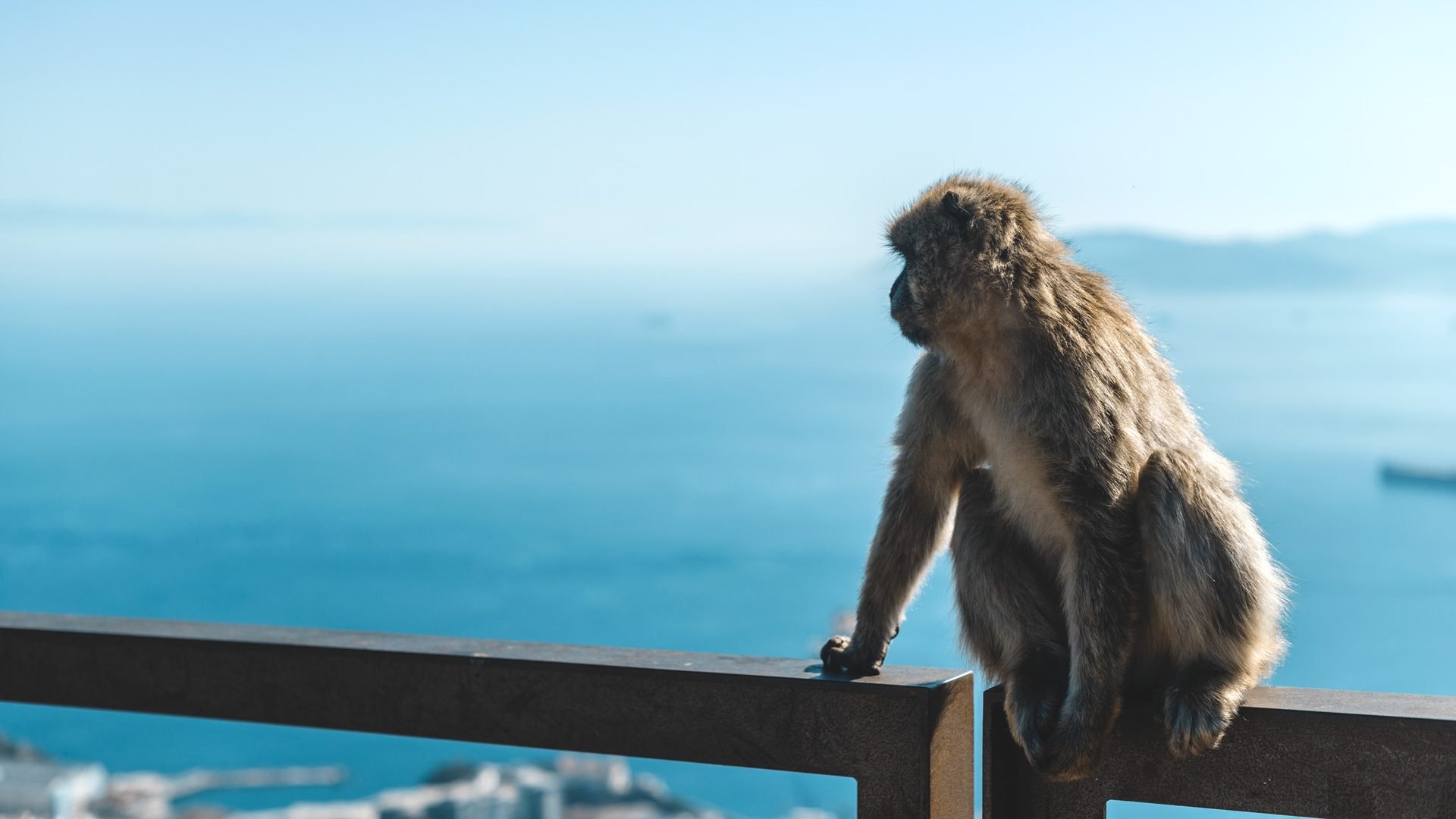 Gibraltar historia | Rojo Cangrejo Blog de Viajes