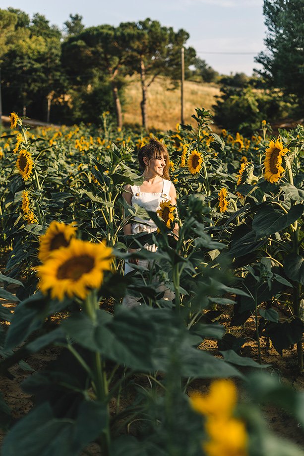 dónde ver girasoles en La Toscana