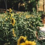 ruta por la toscana italiana en coche | Rojo Cangrejo Blog de Viajes