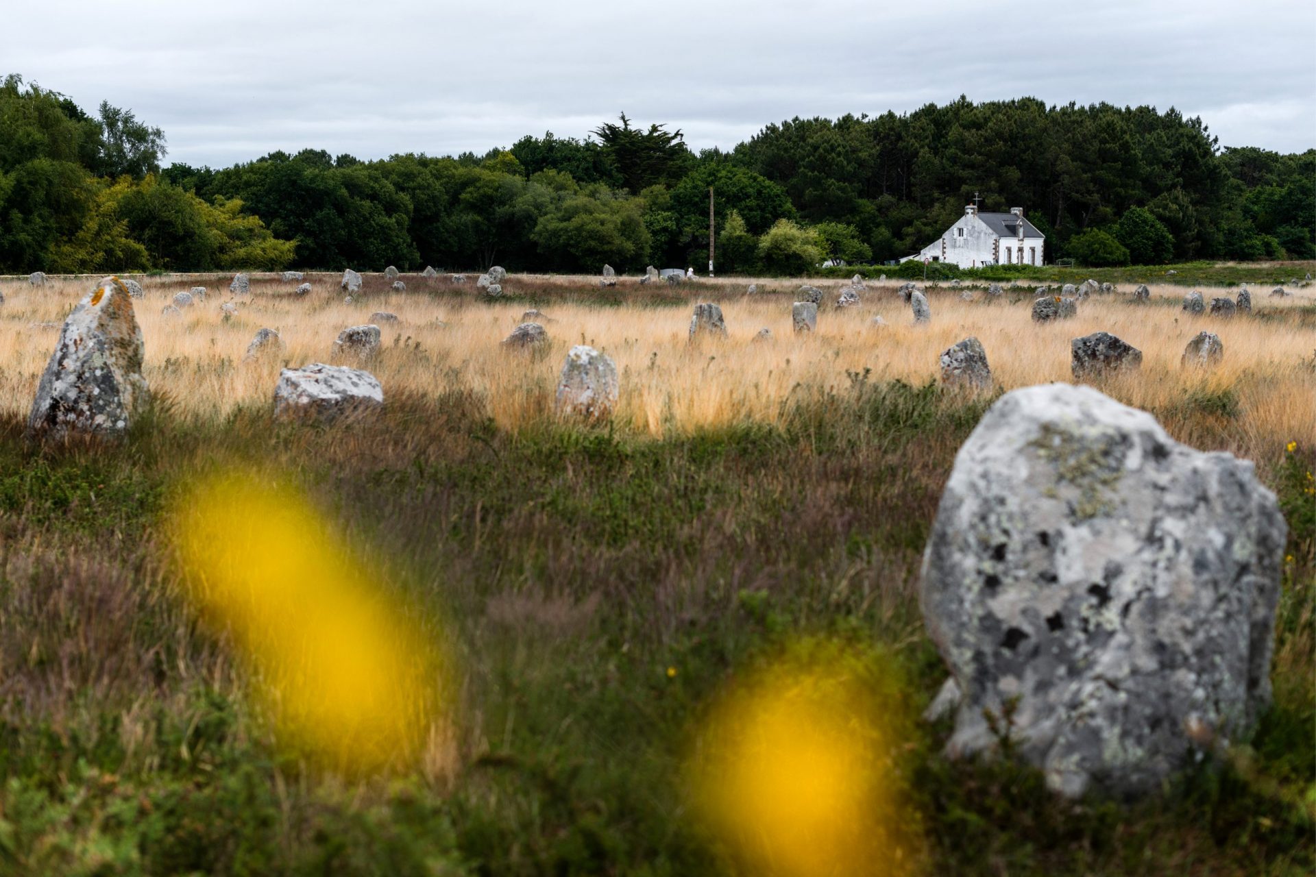 carnac alineamientos